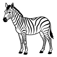 Illustration of a zebra standing on a white background