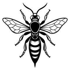 Black and white illustration of a bee isolated on white background