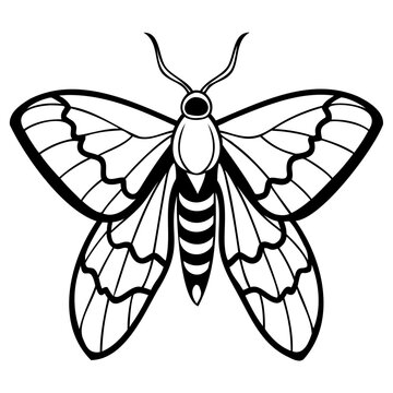black and white moth drawing clip art preview