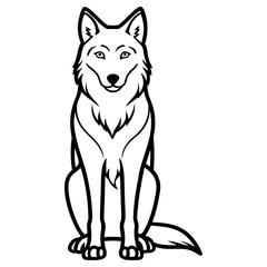 Wolf sitting and looking forward, isolated on white background