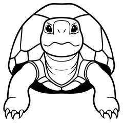 Front view of a tortoise isolated on white background