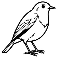 Black and white illustration of a small bird standing on a white background