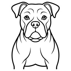 Front view of a staffordshire bull terrier dog isolated on white background