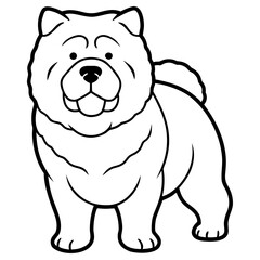 Chow chow dog standing, isolated on white background