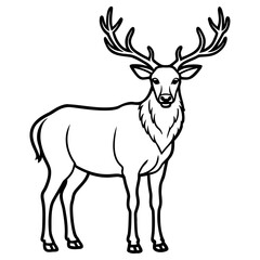 Majestic stag deer with large antlers, isolated on white background