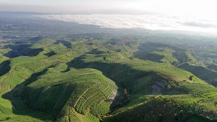 Peaceful drone shot of layered farmland on mountain slopes glowing under morning sunlight. The natural textures of the fields, Indonesia agricultural field.