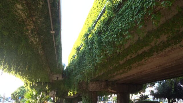 Cagliari, Sardinia, Italy An overgrown overpass on the Asse Mediano di Scorrimento highway. 