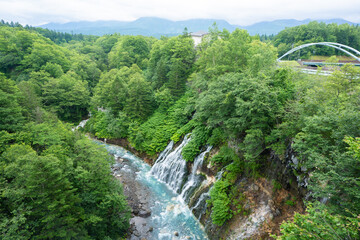 北海道 美瑛　白ひげの滝