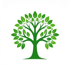 Fototapeta premium Stylized vector illustration of a green tree with a full canopy of leaves against a white background.