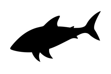 Obraz premium vector illustration of a shark
