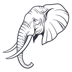 elephant vector illustration