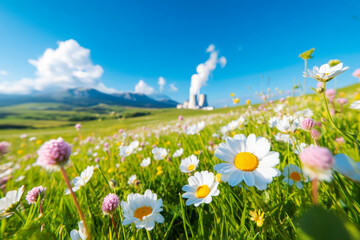 Field of flowers with industrial factory smoke under blue sky environmental contrast