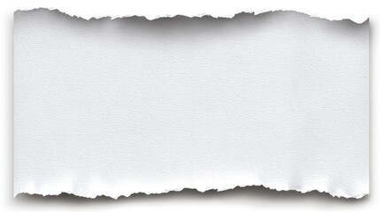 Torn Piece Of White Paper With Texture