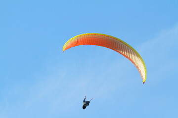 paraglider