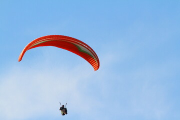 paraglider