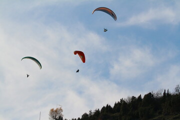paraglider