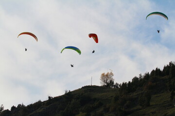 paraglider