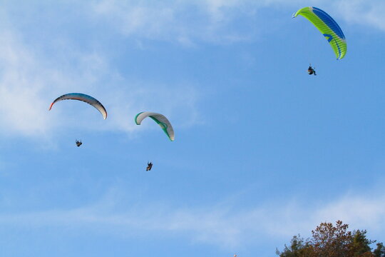 paraglider