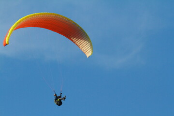 paraglider