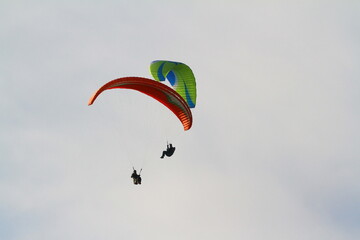 paraglider
