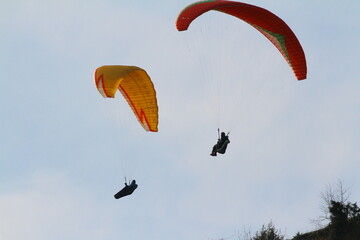 paraglider