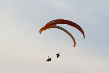 paraglider
