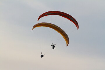paraglider