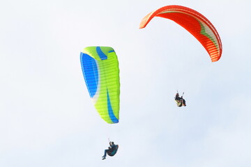 paraglider