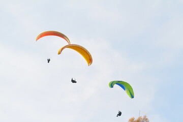paraglider