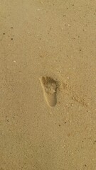 Child's Footprint on the beach