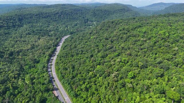 Drone footage of the aerial view of a winding road cutting through lush green forest. Scenic highway number 304 in Thailand links the Bangkok area to Nakhon Ratchasima in the northeastern region