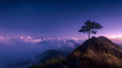 Night landscape photography tree on mountain top with purple sky and clouds scenic nature wallpaper
