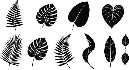 Tropical leaf silhouette collection, black botanical foliage, exotic plant shapes, nature inspired leaf design, vector fern, monstera, palm, heart leaf illustration