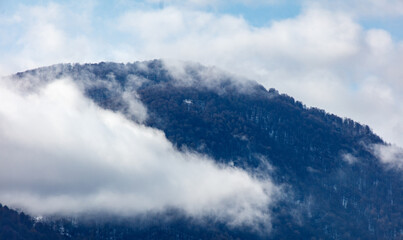 The sky is cloudy and the mountain is covered in trees