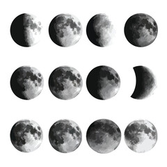 Naklejka premium Vector silhouette set of Halloween Moon Phases isolated in White background, silhouette Set, Halloween theme, Vector illustration 