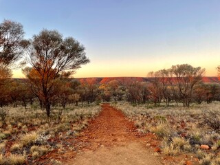 Scenic trail through the Australian outback at golden hour, surrounded by desert shrubs, red earth,...