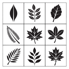 Fototapeta premium Assorted Tree Leaf Icon Silhouettes