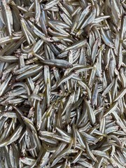  The image is a top-down, close-up shot of a large, dense pile of small, raw fish. The fish are silver in color, with a faint, darker stripe running along their bodies. They are tightly packed 