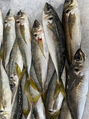 fresh fish on ice a close-up, top-down shot of a large pile of fresh, whole fish on a bed of crushed ice. The fish are long and slender, with a silvery-pink color and faint horizontal 