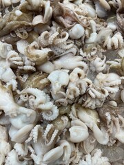  top-down, close-up shot of a large pile of fresh, raw baby octopus on a bed of ice. The octopuses are a mix of creamy white and light brown colors. Many of their tentacles 