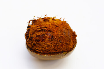 Luo Han Guo or Siraitia grosvenorii, Monk fruit