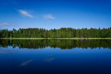 reflection of trees in water
