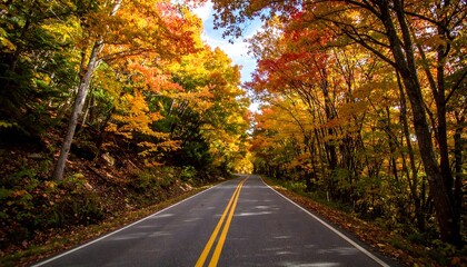 Obraz premium Autumn Road Lined with Vibrant Foliage Under a Bright Blue Sky.