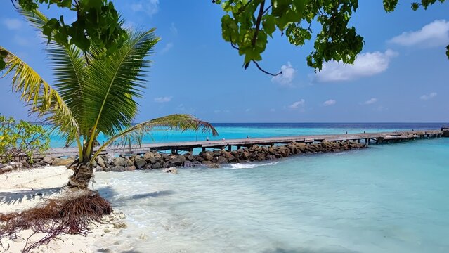 A marina on the island of Kihaa Maldives, surrounded by dense tropical vegetation and framed by snow-white beaches adjacent to the endless clear and clear waters of the Indian Ocean.