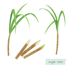サトウキビの水彩イラスト
