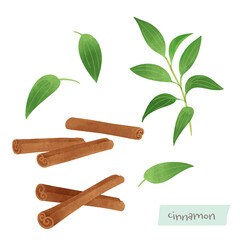 シナモンの水彩イラスト
