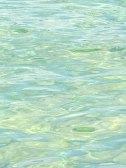 Couleurs estivales du lac Léman – plein cadre