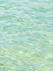 Couleurs estivales du lac Léman – plein cadre