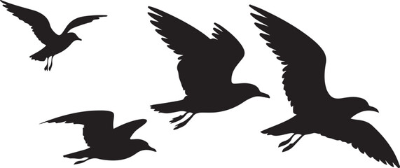 Silhouettes of Five Seagulls in Flight Against a White Background