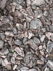 Discovering the beauty of various textures in nature captured with a keen eye
